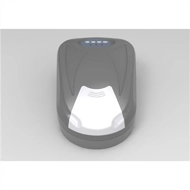Garaj electric deasupra capului